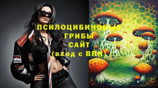 PSILOCYBIN Белокуриха